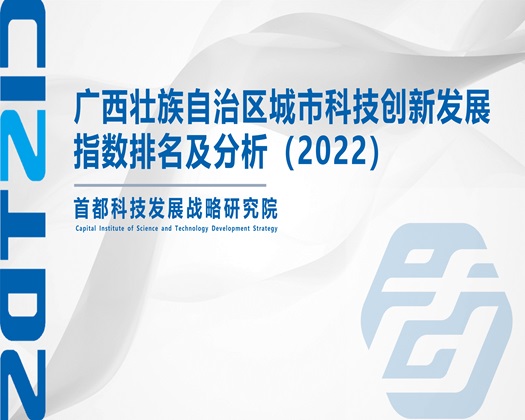 羞羞的簧片【成果发布】广西壮族自治区城市科技创新发展指数排名及分析（2022）